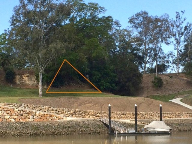 fig roots acting as bulwark