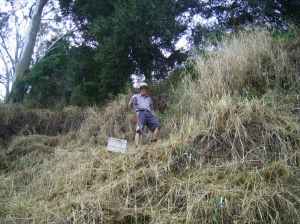 Ian planting final stage of riverbank