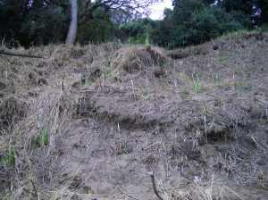 erosion from flood 1