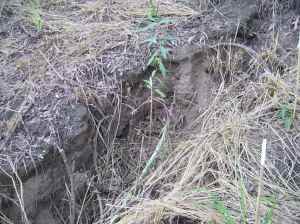up close to the erosion May '11