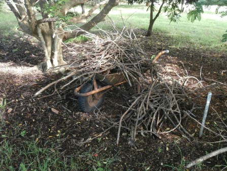 sticks waiting to be mulched