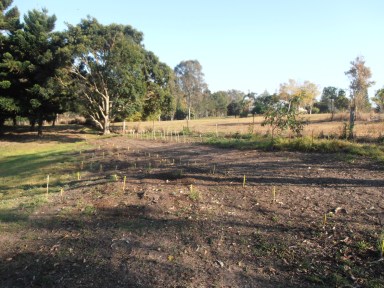 a new site for plants