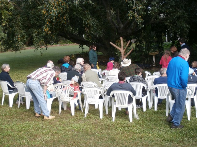 gathering under the figtrees