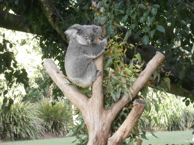 How soon can we go home, Kristen?