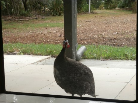 watching my every move