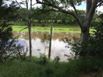 looking at the river as we descend our riverbank